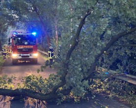 Einsatzfoto 2024_07_31 Insel Ast neu.jpeg